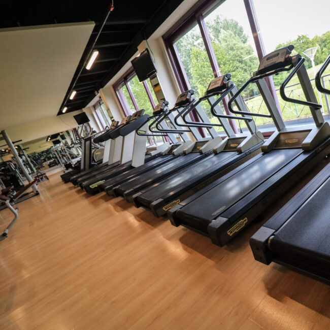 Wet Life Centro Benessere Spa Piscina Palestra Nibionno Milano Como Lecco